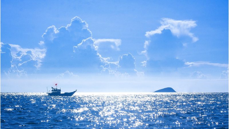 导读分区总览:各板块条目与占比 示意图