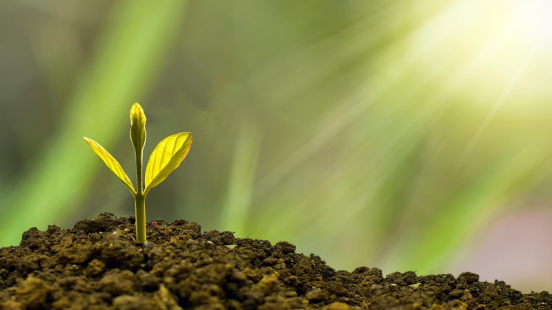龙王传说 本页导读的更新节奏